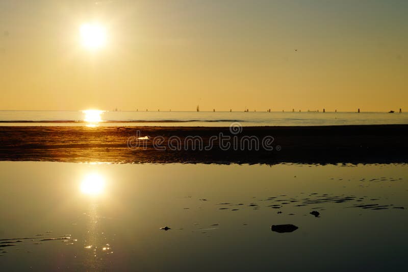 Nature royalty free stock photography