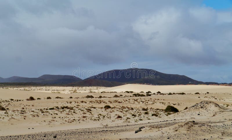 The nature park with the dunes of Correlejo on Fuerteventura