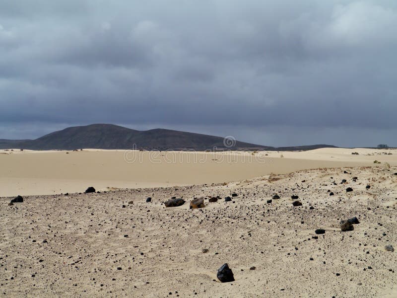 The nature park with the dunes of Correlejo on Fuerteventura