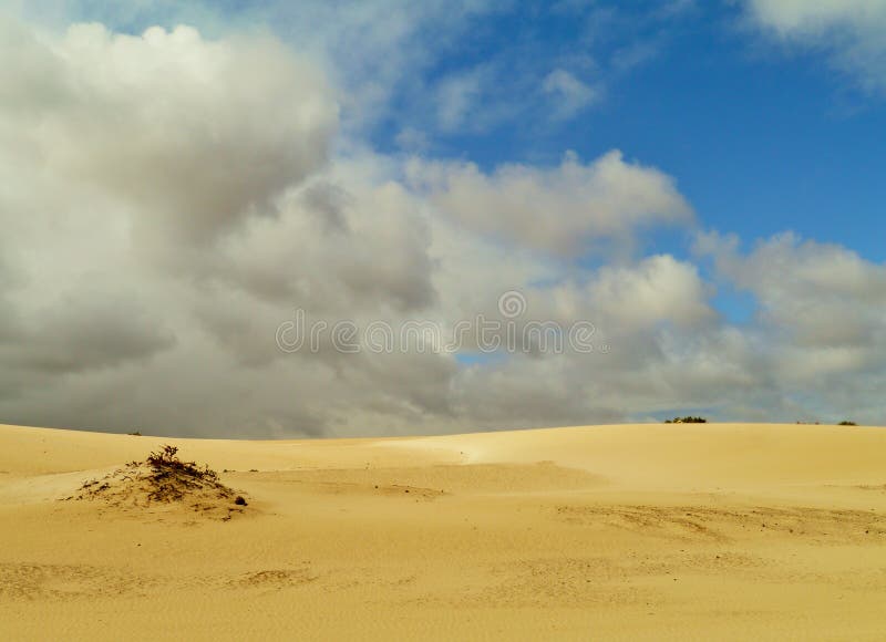 The nature park with the dunes of Correlejo on Fuerteventura