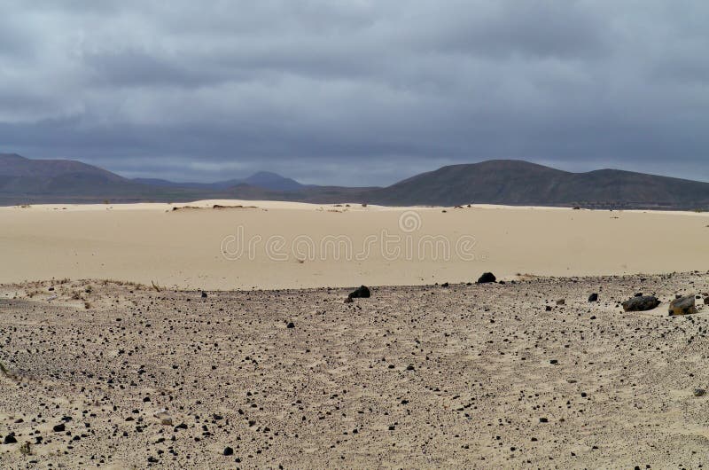 The nature park with the dunes of Correlejo on Fuerteventura