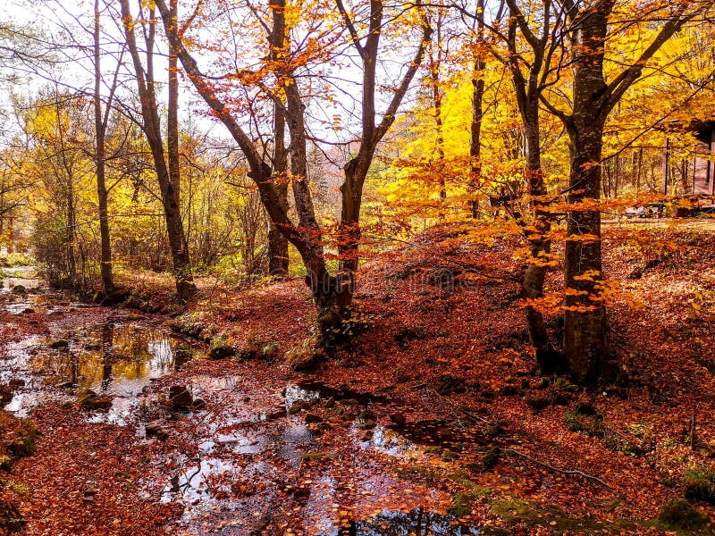 Nature park Grza near the Paracin, Serbia. royalty free stock photography Nature park Grza near the Paracin, Serbia. royalty free stock photography