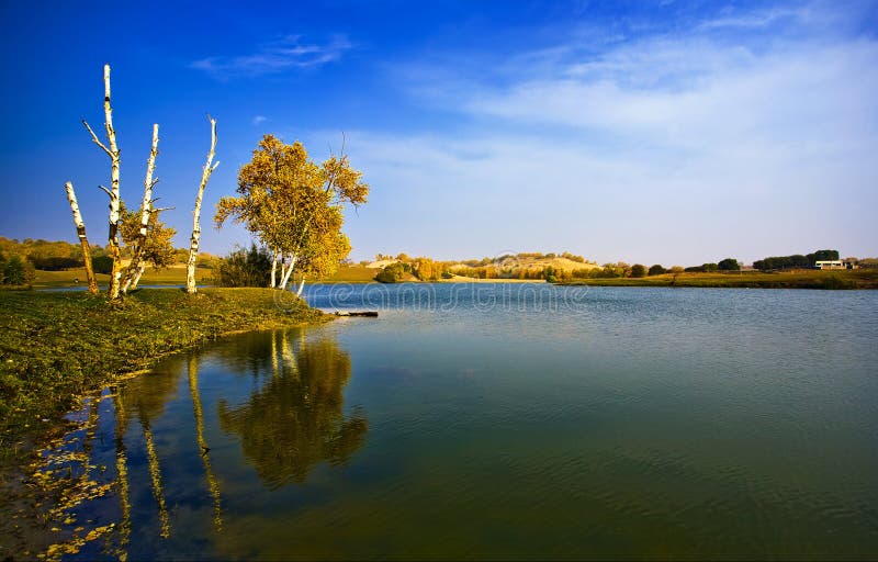 Nature park water landscape