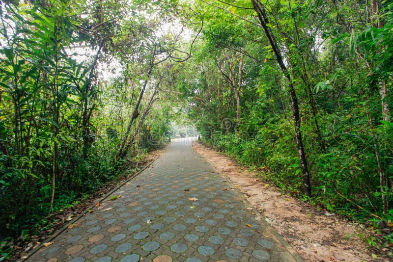 Nature parks stock photo. Image of outside, leaf, nature 55825176