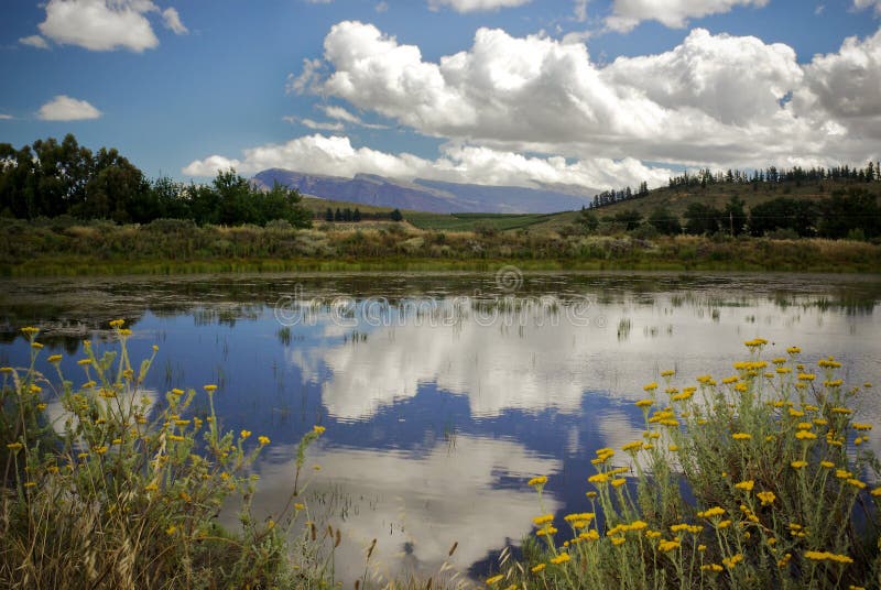 Nature reflects in clear mountain lake in africa