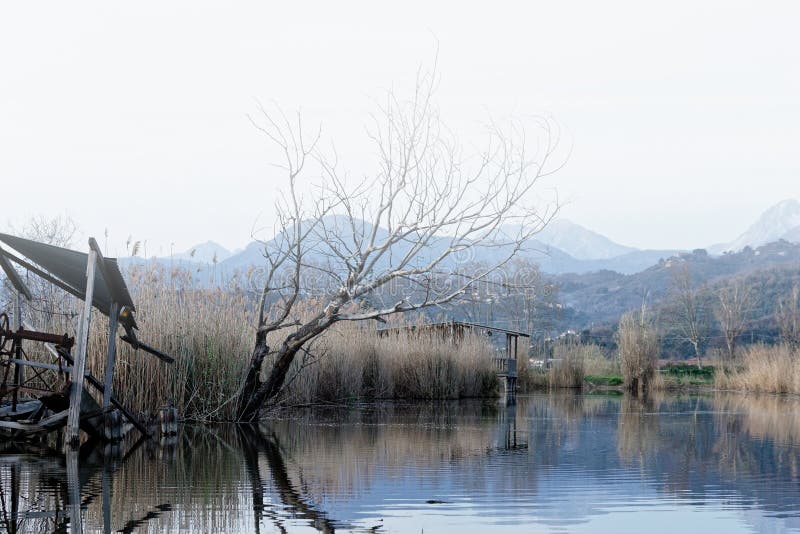 Nature Reserve, Oasis Lipu Massaciuccoli, Lucca, Tuscany