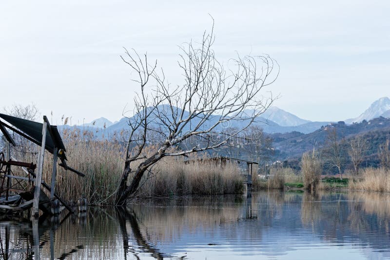 Nature Reserve, Oasis Lipu Massaciuccoli, Lucca, Tuscany