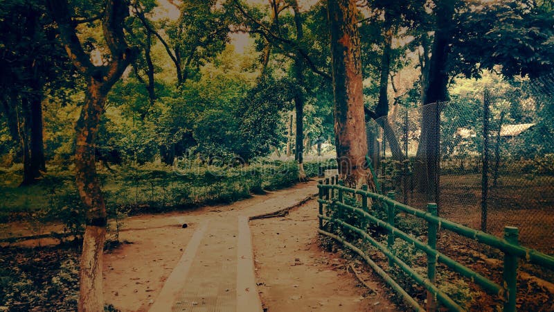 184 Nature Clicks Photos Free Royalty Free Stock Photos From Dreamstime