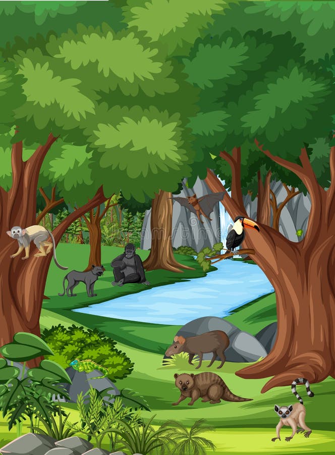 Nature Scene with Stream Flowing through the Forest with Wild Animals Stock Vector - Illustration of clipart, cartoon: 225501614 Nature Scene with Stream Flowing through the Forest with Wild Animals Stock Vector - Illustration of clipart, cartoon: 225501614