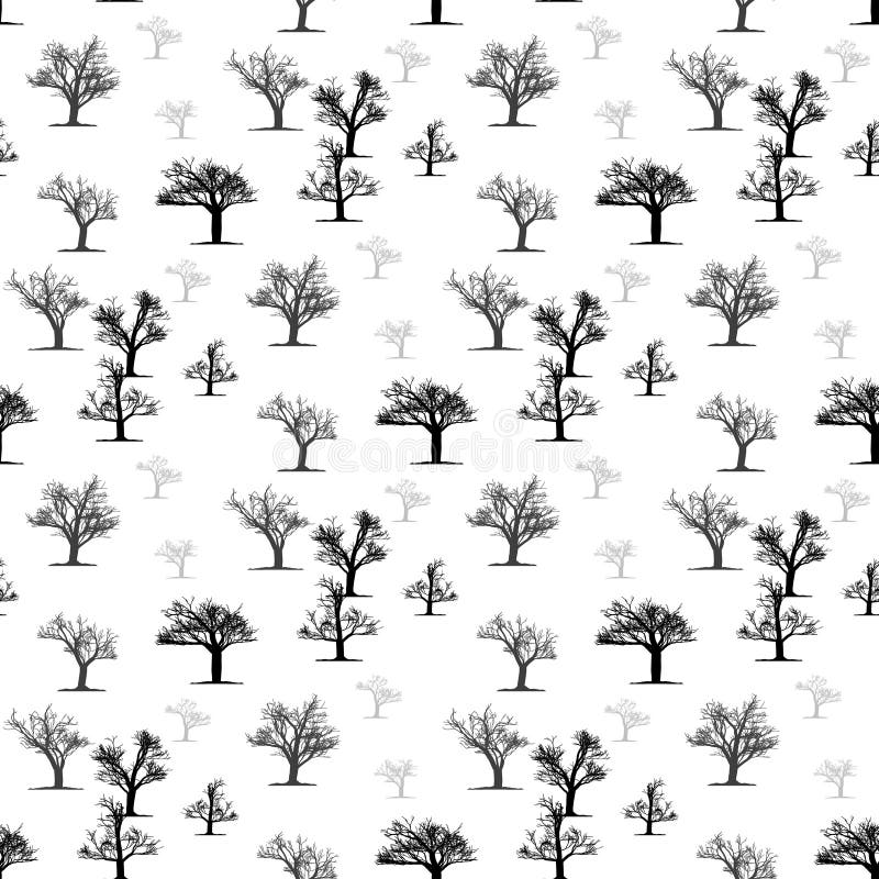 My Image 24