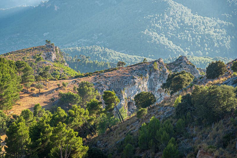 Nature of the sierra de tramuntana, mallorca, spain