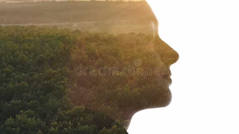 Nature silhouette liberté harmonie coucher de soleil femme banque de vidéos