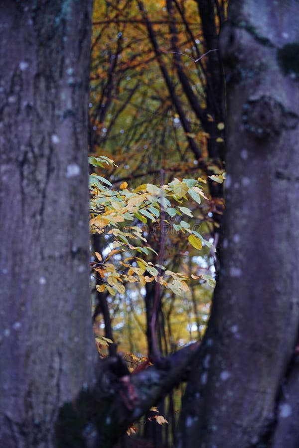 Nature Sky Mountain Mountains Clean Air Water Clouds in the Mountains