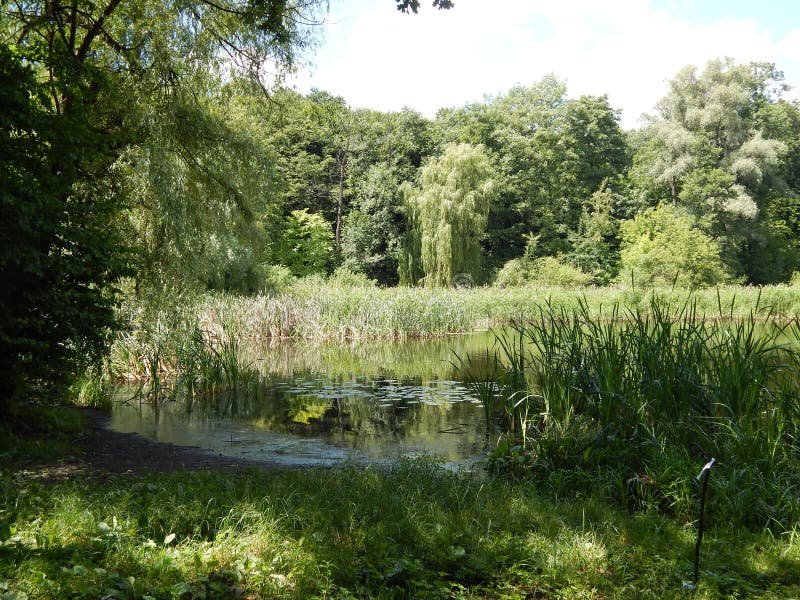 A walk on a summer day in the city park by the lake