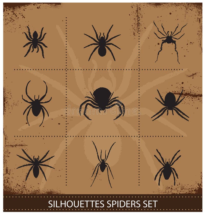 Spiders silhouettes vector collection