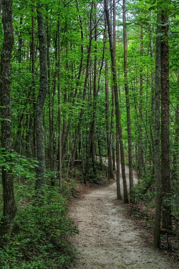 Nature Trails in Hanging Rock National Park, NC