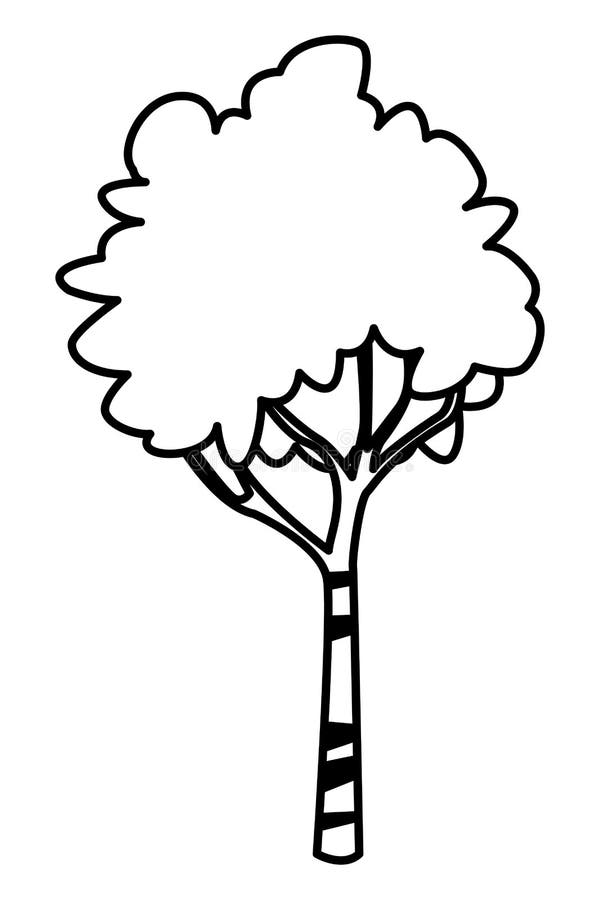 Nature Tree with Leaves Isolated Cartoon in Black and White Stock Vector -  Illustration of landscape, flora: 154120319