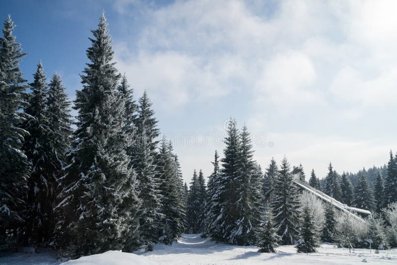 Příroda pokrytá sněhem v zimě. Slovensko