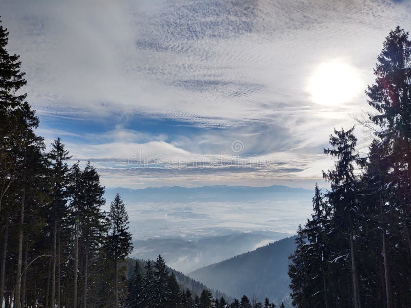 Nature under the snow with sun and shadows in winter.