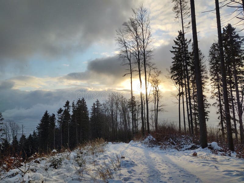 Nature under the snow with sun and shadows in winter.