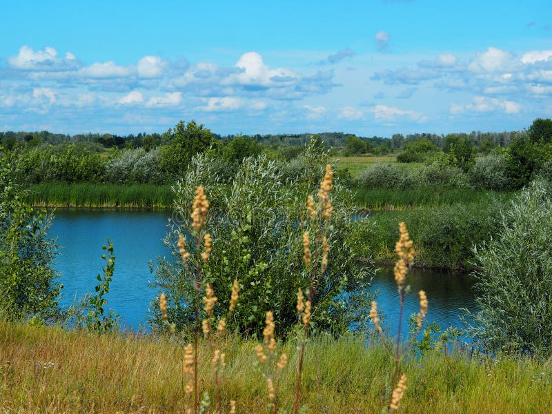 The Nature of the Volga Region.Russian Rivers, Tributaries of the Volga Stock Image Image of