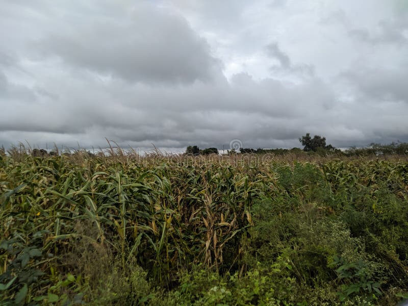 Naturens skönhet royaltyfri bild Naturens skönhet royaltyfri bild