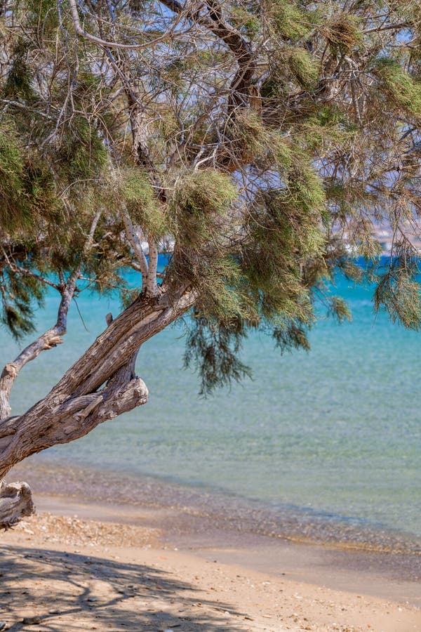 Natureza bonita da ilha de Antiparos de Grécia com água azul de cristal e vistas de surpresa foto de stock Natureza bonita da ilha de Antiparos de Grécia com água azul de cristal e vistas de surpresa foto de stock
