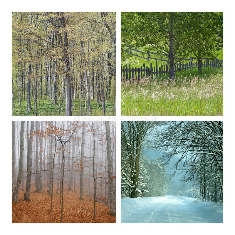 Natureza de quatro estações imagem de stock Natureza de quatro estações imagem de stock