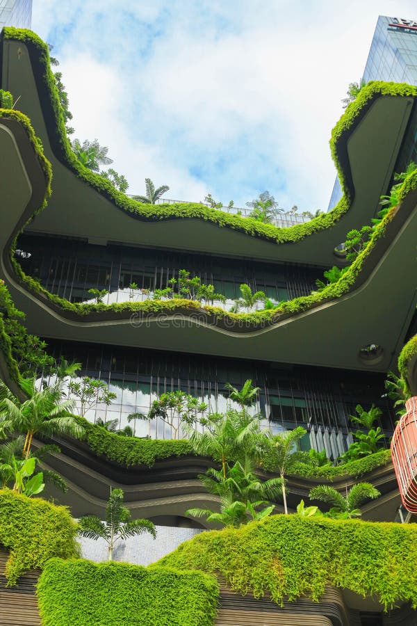 Natureza verde Singapura bot?nico foto de stock Natureza verde Singapura bot?nico foto de stock