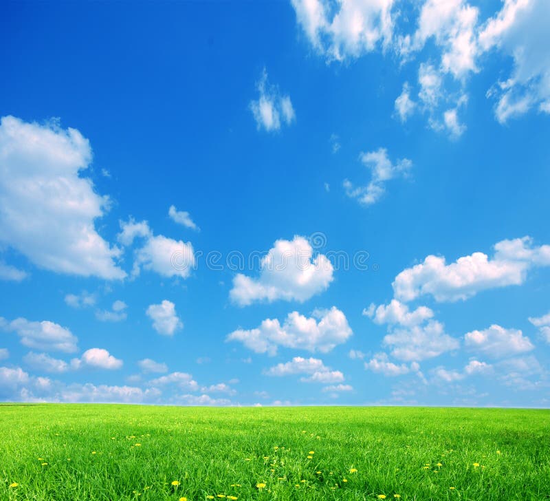 Naturhintergrund lizenzfreies stockbild Naturhintergrund lizenzfreies stockbild