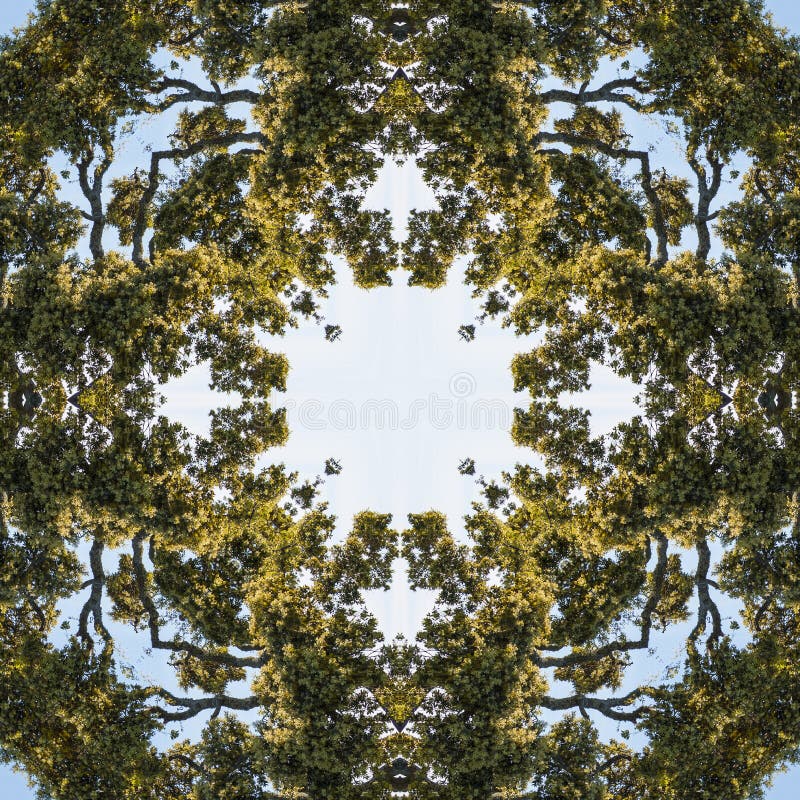Naturlig kalejdoskop med naturliga bevekelsegrunder vektor illustrationer Naturlig kalejdoskop med naturliga bevekelsegrunder vektor illustrationer