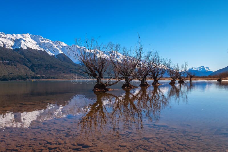 Naturlig landskapbild av den berömda videraden i Glenorchy, södra ö, Nya Zeeland arkivbild Naturlig landskapbild av den berömda videraden i Glenorchy, södra ö, Nya Zeeland arkivbild