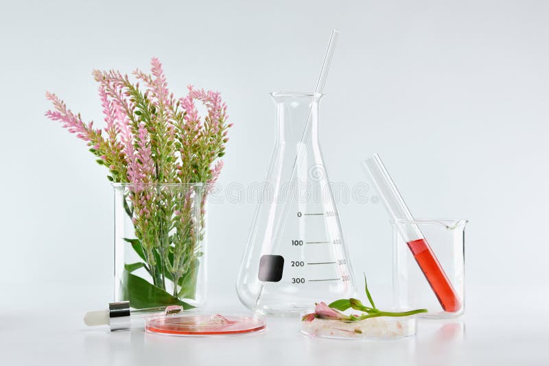 Naturlig organisk botanik och vetenskaplig glasföremål, alternativ örtmedicin, naturliga skönhetsprodukter för hudomsorg royaltyfri bild Naturlig organisk botanik och vetenskaplig glasföremål, alternativ örtmedicin, naturliga skönhetsprodukter för hudomsorg royaltyfri bild