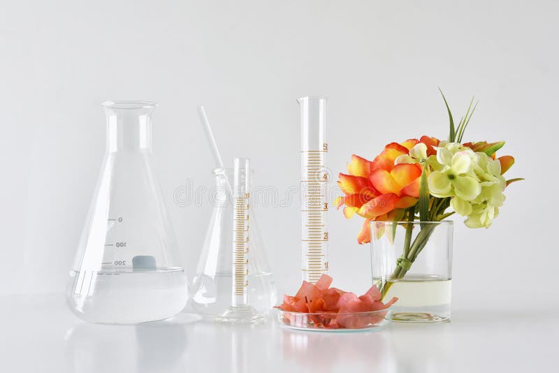 Naturlig organisk och vetenskaplig glasföremål, alternativ örtmedicin, naturliga skönhetsprodukter för hudomsorg arkivbild Naturlig organisk och vetenskaplig glasföremål, alternativ örtmedicin, naturliga skönhetsprodukter för hudomsorg arkivbild