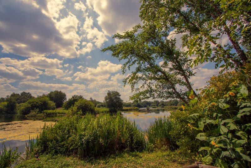 Naturlig parklandfiskesjö Idyllisk engelsk bygdsumme fotografering för bildbyråer