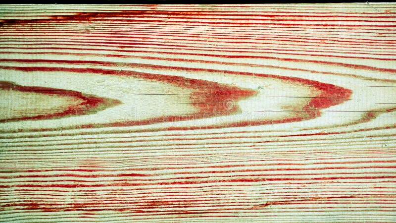 Naturlig trätextur eller bakgrund arkivfoton Naturlig trätextur eller bakgrund arkivfoton