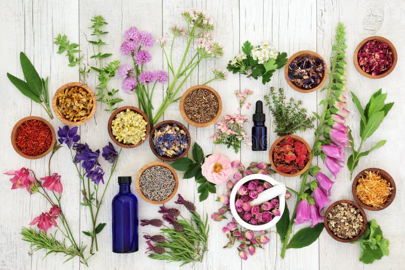 Naturlig växt- medicin arkivfoton