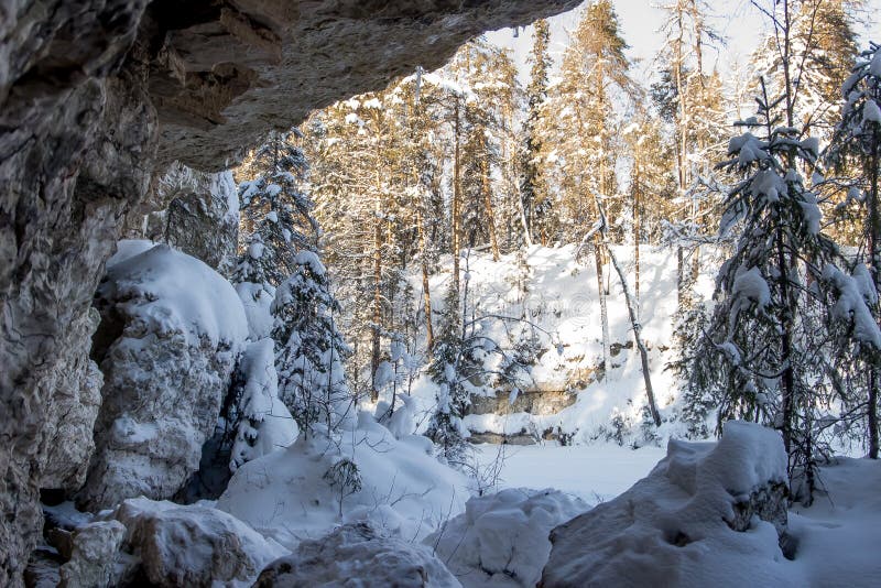 Naturreservat i området Russia arkhangelsk golubino royaltyfri foto