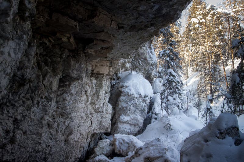 Naturreservat i området Russia arkhangelsk golubino royaltyfri foto