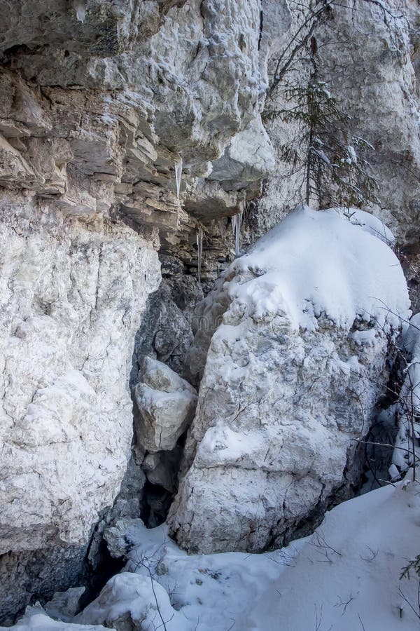 Naturreservat i området Russia arkhangelsk golubino arkivfoto