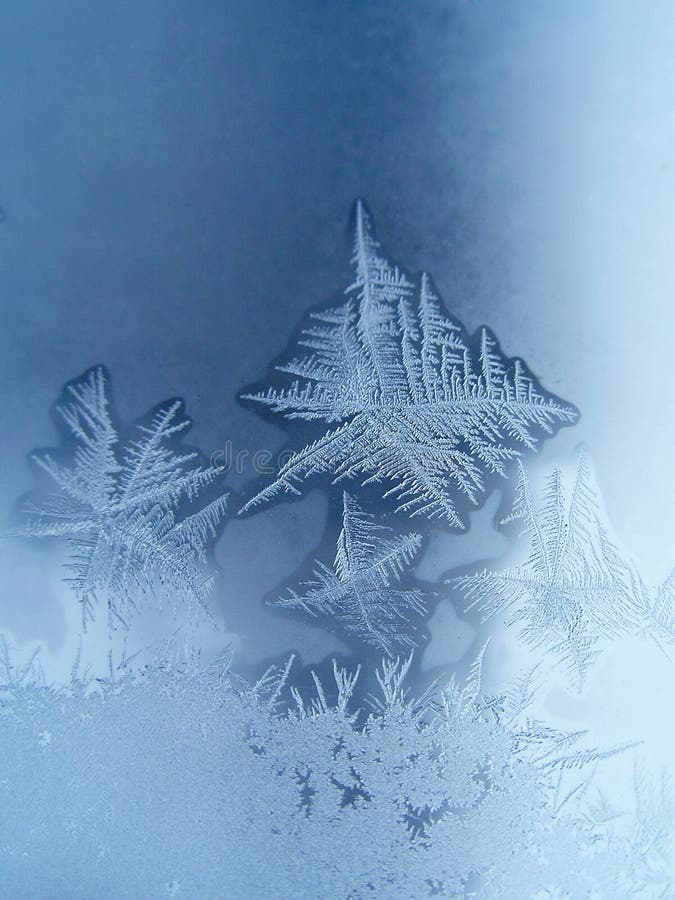 Nature snow flakes. Frosty pattern at a window. Nature snow flakes. Frosty pattern at a window.