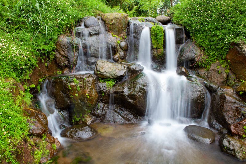 Naturträdgård med den lilla vattenfallet för kaskad