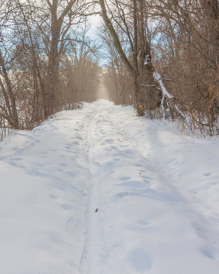 Naturwaldfußweg Snowy winterlicher durch Wald - Cross Country-Skifahren, wandernd, fette Reifenfahrraderholung - im Minnesota VA lizenzfreie stockfotos Naturwaldfußweg Snowy winterlicher durch Wald - Cross Country-Skifahren, wandernd, fette Reifenfahrraderholung - im Minnesota VA lizenzfreie stockfotos