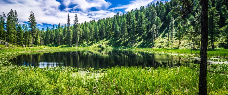 Natury scenics wokoło Spokane rzeki Washington