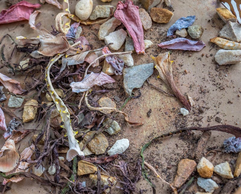 Natuurlijk elementenstilleven met exemplaarruimte stock afbeelding Natuurlijk elementenstilleven met exemplaarruimte stock afbeelding