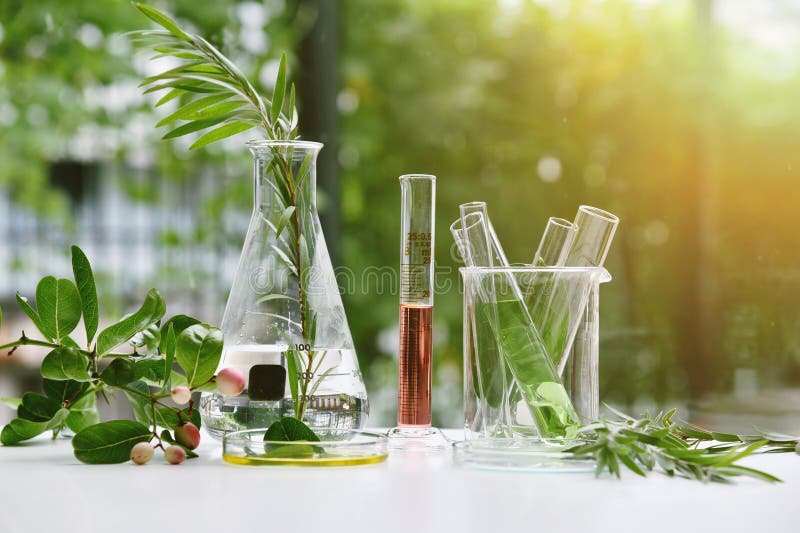 Natuurlijk geneesmiddelenonderzoek, natuurlijke organische en wetenschappelijke extractie in glaswerk, alternatieve groene kruide