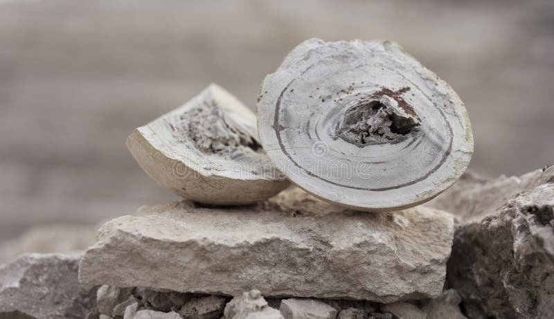 Natuurlijk mineraal stock fotografie Natuurlijk mineraal stock fotografie