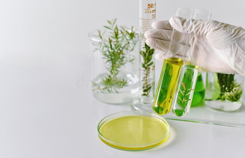 Natuurlijke geneeskundeontwikkeling in laboratorium, Wetenschapperonderzoek en experiment groene kruiden stock foto Natuurlijke geneeskundeontwikkeling in laboratorium, Wetenschapperonderzoek en experiment groene kruiden stock foto