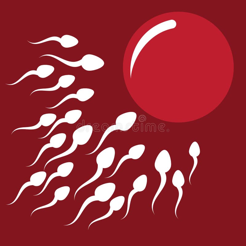 Natuurlijke inseminatie: sperma en eicel stock illustratie Natuurlijke inseminatie: sperma en eicel stock illustratie