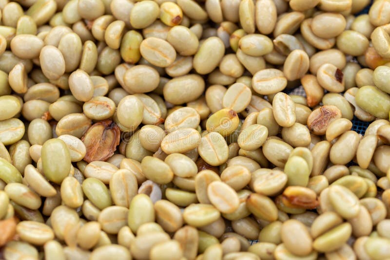Natürliche organische Rohkaffeebohnen lizenzfreie stockbilder Natürliche organische Rohkaffeebohnen lizenzfreie stockbilder